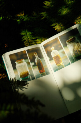 Gwennina Moigne Studio