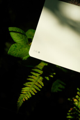 Gwennina Moigne Studio