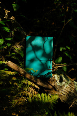 Gwennina Moigne Studio