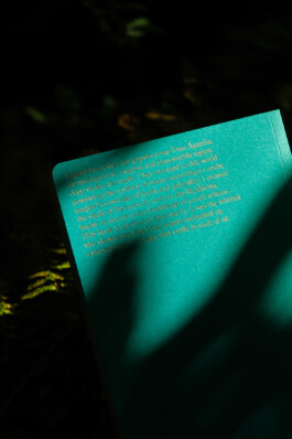 Gwennina Moigne Studio