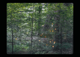 Gwennina Moigne Studio