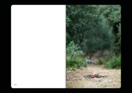 Gwennina Moigne Studio