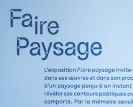 Gwennina Moigne Studio