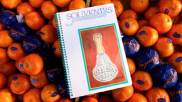 Gwennina Moigne Studio