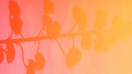 Gwennina Moigne Studio