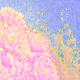 Gwennina Moigne Studio