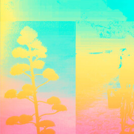 Gwennina Moigne Studio