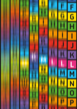 Gwennina Moigne Studio