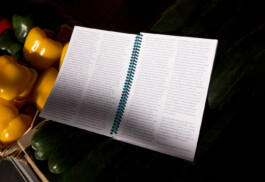 Gwennina Moigne Studio