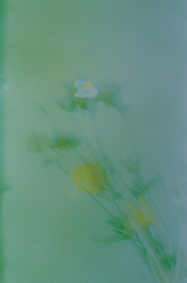 Gwennina Moigne Studio