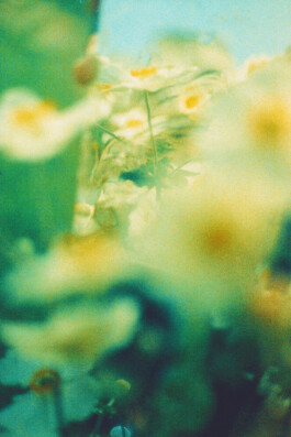 Gwennina Moigne Studio