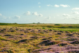 Gwennina Moigne Studio