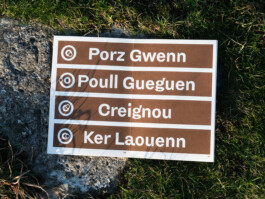 Gwennina Moigne Studio