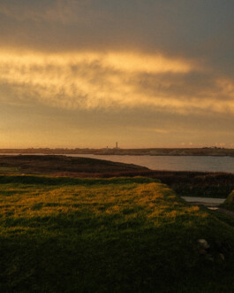 Gwennina Moigne Studio