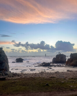 Gwennina Moigne Studio