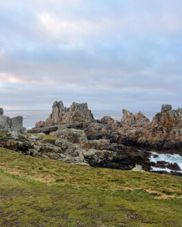 Gwennina Moigne Studio