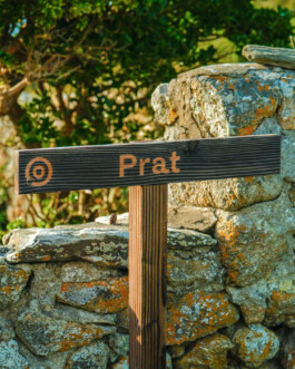 Gwennina Moigne Studio