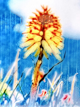 Gwennina Moigne Studio