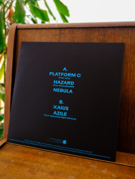 Gwennina Moigne Studio