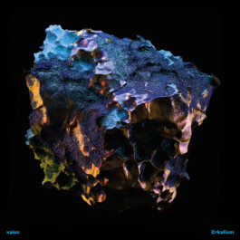 Gwennina Moigne Studio