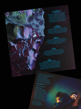 Gwennina Moigne Studio