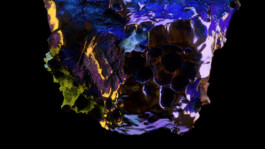 Gwennina Moigne Studio