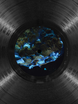 Gwennina Moigne Studio