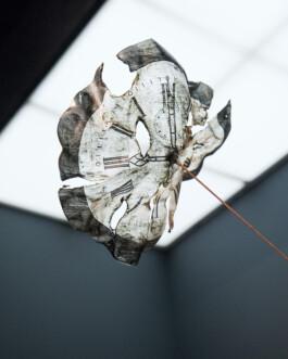 Gwennina Moigne Studio