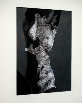 Gwennina Moigne Studio