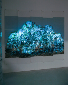 Gwennina Moigne Studio